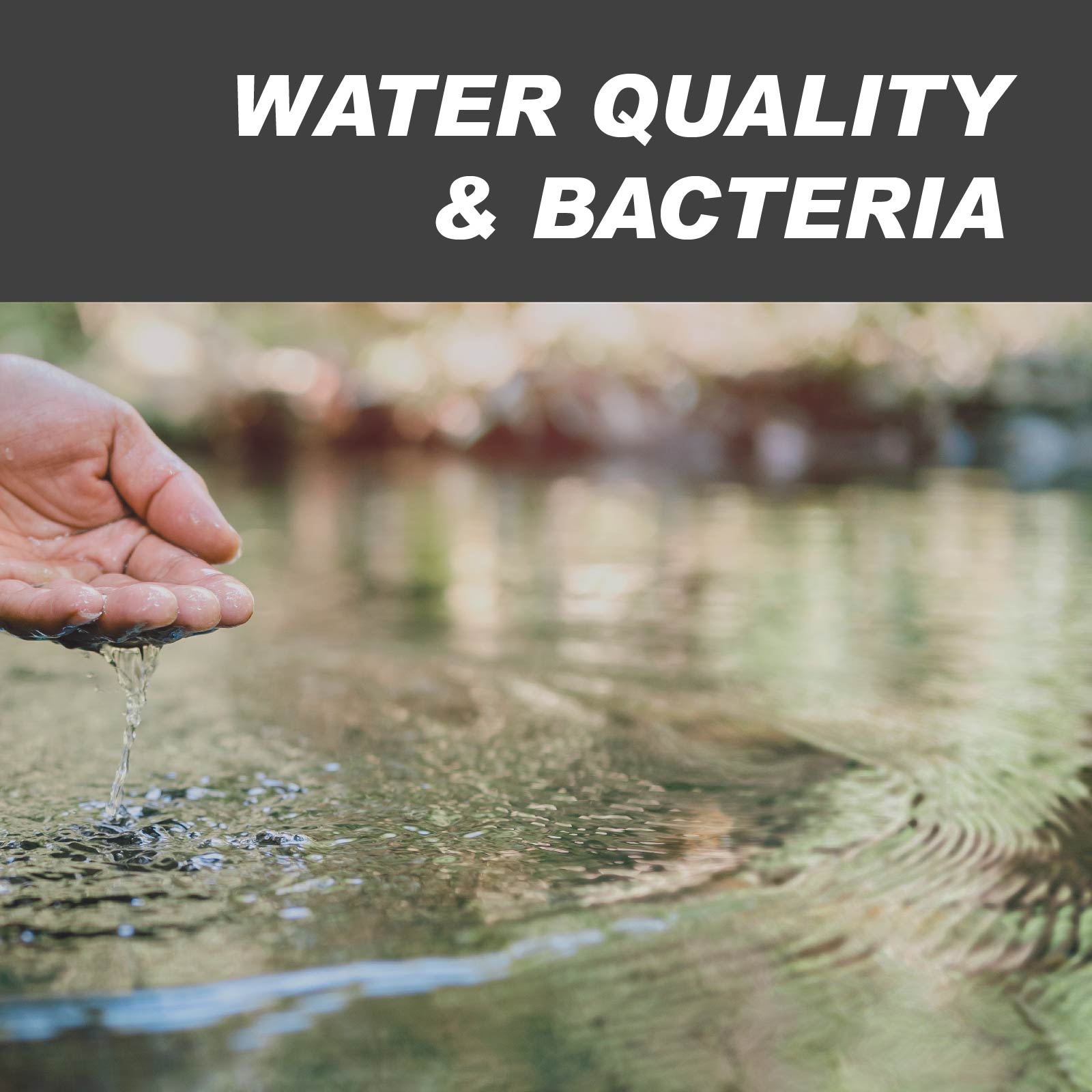 Water Quality & Bacteria Treatment